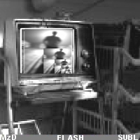 MzDominica - File Descriptions/MzDominica - File Descriptions/Sleepwalker.jpg